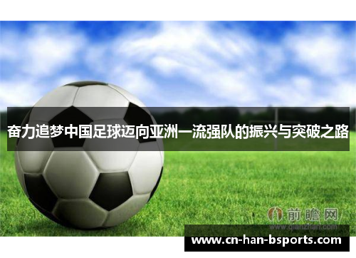 奋力追梦中国足球迈向亚洲一流强队的振兴与突破之路 奋力追梦中国足球迈向亚洲一流强队的振兴与突破之路
