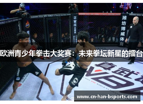 欧洲青少年拳击大奖赛：未来拳坛新星的擂台