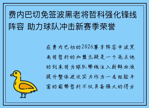 费内巴切免签波黑老将哲科强化锋线阵容 助力球队冲击新赛季荣誉